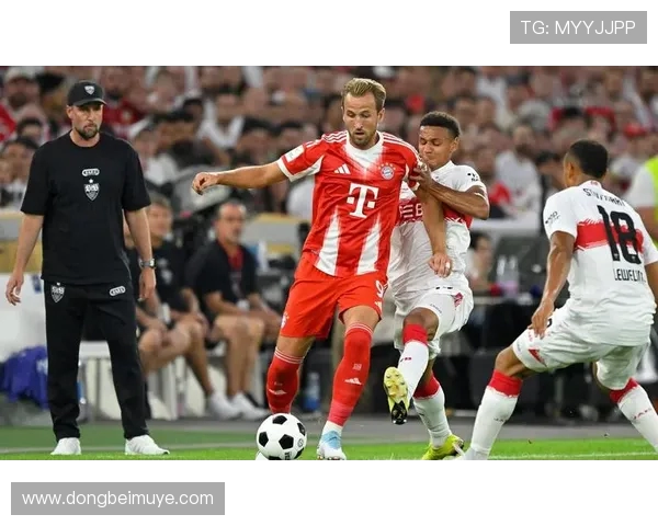 德甲球队最新伤病情况及对赛季影响