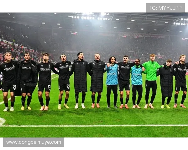 德甲球队美因茨介绍：队史、阵容与主场