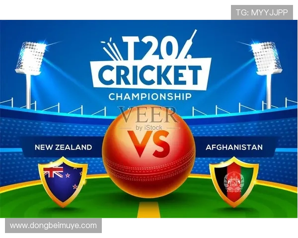 T20世界杯2012回顾群雄逐鹿与板球格局变迁风云决战新王朝