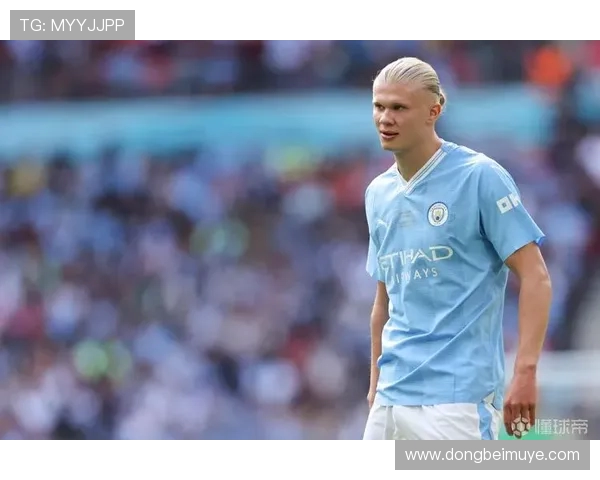 英超球队球衣销量全收录盘点英超球队的视觉识别与周边设计