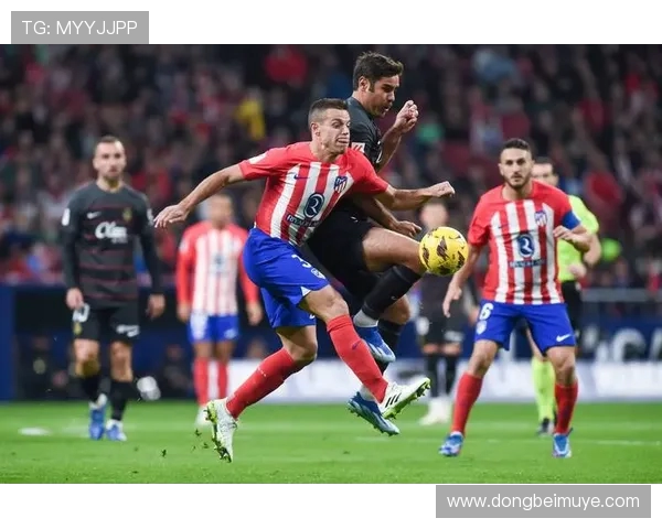 西甲联赛篮球赛程与足球赛程对比及时间冲突分析