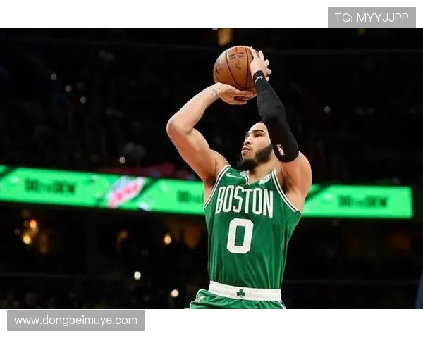 甜瓜建议塔图姆退居二线獭兔训练师反驳引发热议与争议